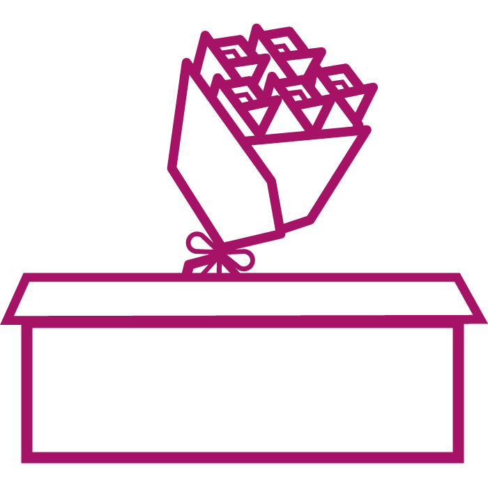 Icon Sicher verpackt